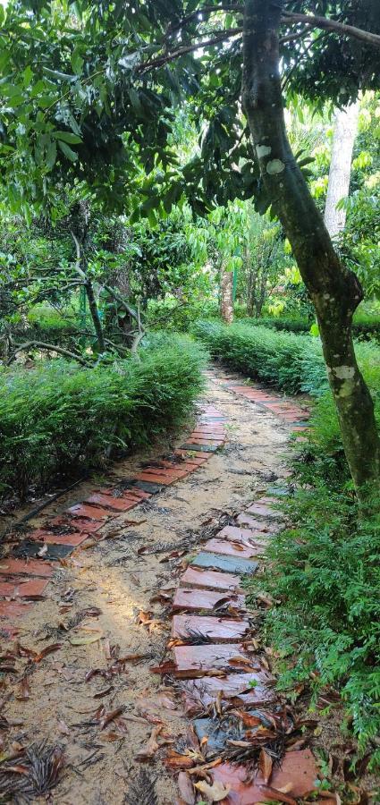 The Vintage Chikmagalur Apartment Luaran gambar